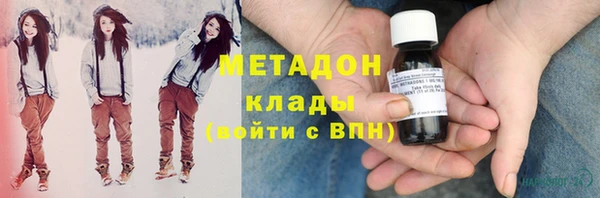 ПСИЛОЦИБИНОВЫЕ ГРИБЫ Михайлов