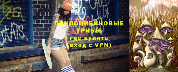 ПСИЛОЦИБИНОВЫЕ ГРИБЫ Михайлов