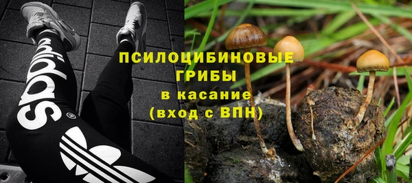 ПСИЛОЦИБИНОВЫЕ ГРИБЫ Михайлов