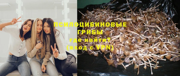спиды Михайловка