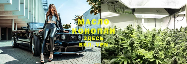 ПСИЛОЦИБИНОВЫЕ ГРИБЫ Михайлов